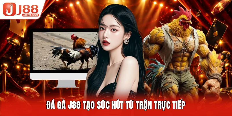 Đá gà J88 tạo sức hút từ trận trực tiếp
