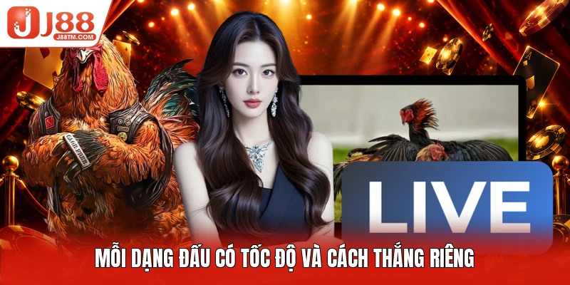 Mỗi dạng đấu có tốc độ và cách thắng riêng